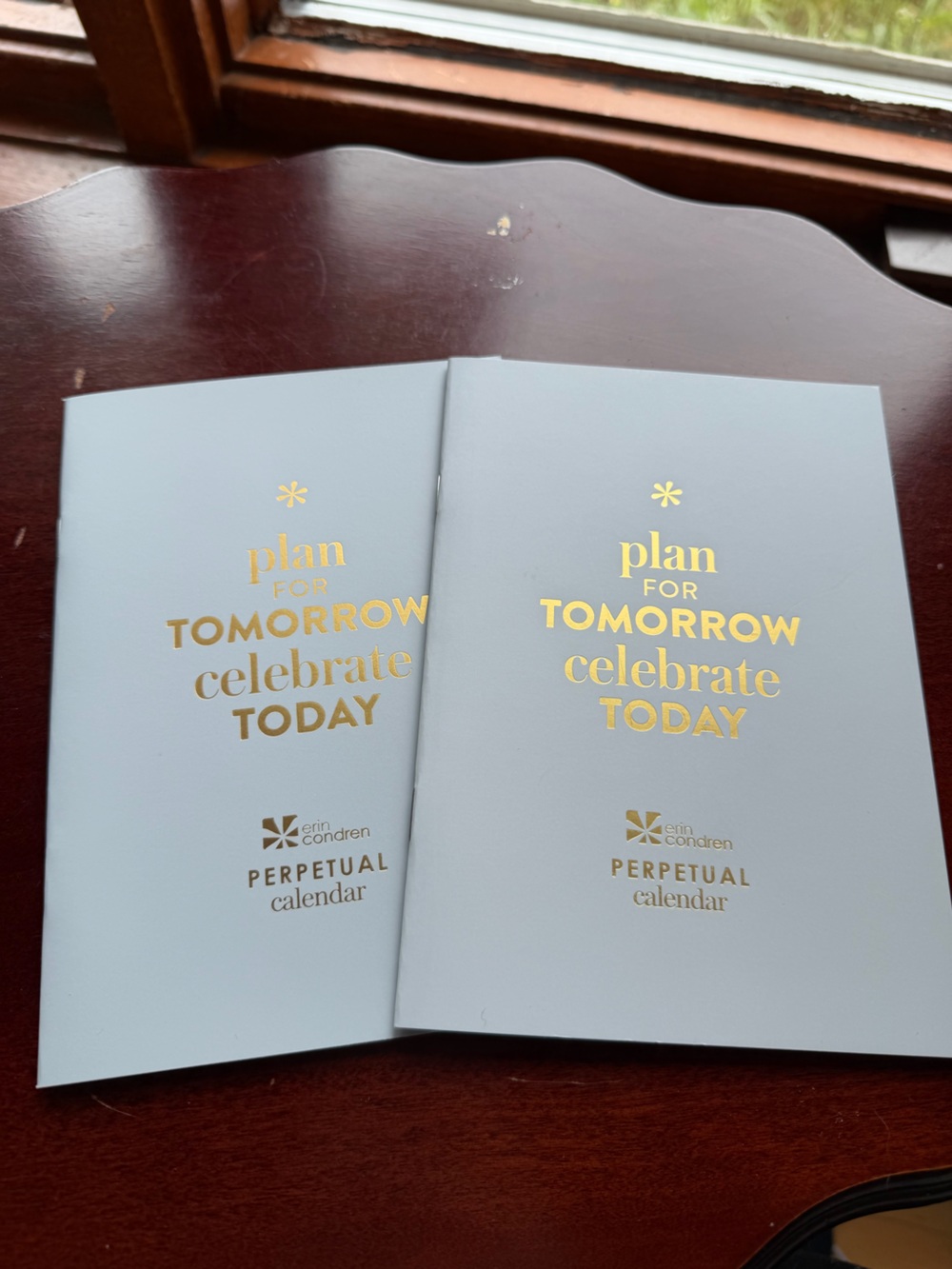2 Erin Condren Perpetual Calendars